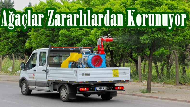 Ağaçlar Zararlılardan Korunuyor.