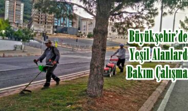 Büyükşehir’den Yeşil Alanlarda Bakım Çalışması!