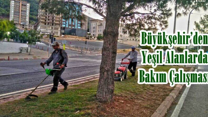 Büyükşehir’den Yeşil Alanlarda Bakım Çalışması!