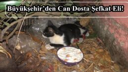 Büyükşehir’den Can Dosta Şefkat Eli!