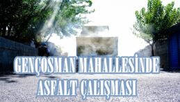 GENÇOSMAN MAHALLESİNDE ASFALT ÇALIŞMASI