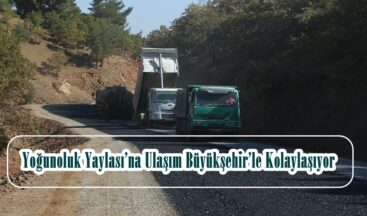 Yoğunoluk Yaylası’na Ulaşım Büyükşehir’le Kolaylaşıyor!