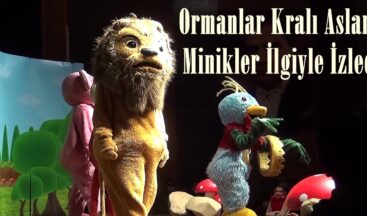 Ormanlar Kralı Aslan’ı Minikler İlgiyle İzledi.
