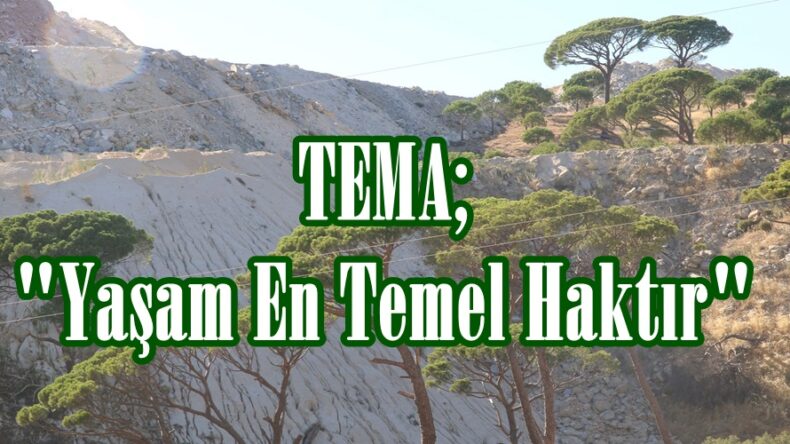 TEMA; “Yaşam En Temel Haktır”