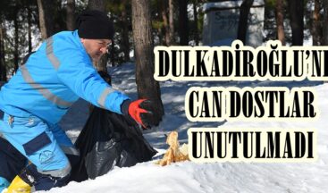 DULKADİROĞLU’NDA CAN DOSTLAR UNUTULMADI.