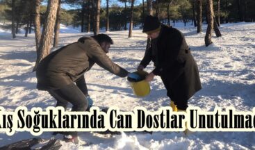 Kış Soğuklarında Can Dostlar Unutulmadı.