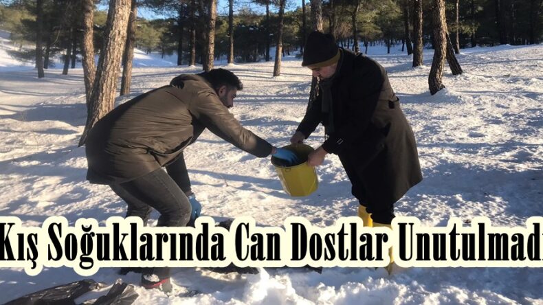 Kış Soğuklarında Can Dostlar Unutulmadı.