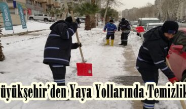 Büyükşehir’den Yaya Yollarında Temizlik.