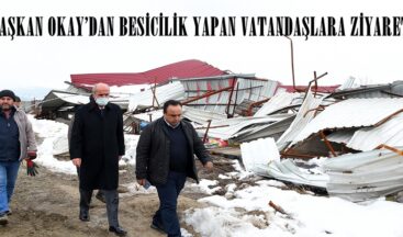 BAŞKAN OKAY’DAN BESİCİLİK YAPAN VATANDAŞLARA ZİYARET.