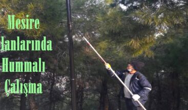 Mesire Alanlarında Hummalı Çalışma.