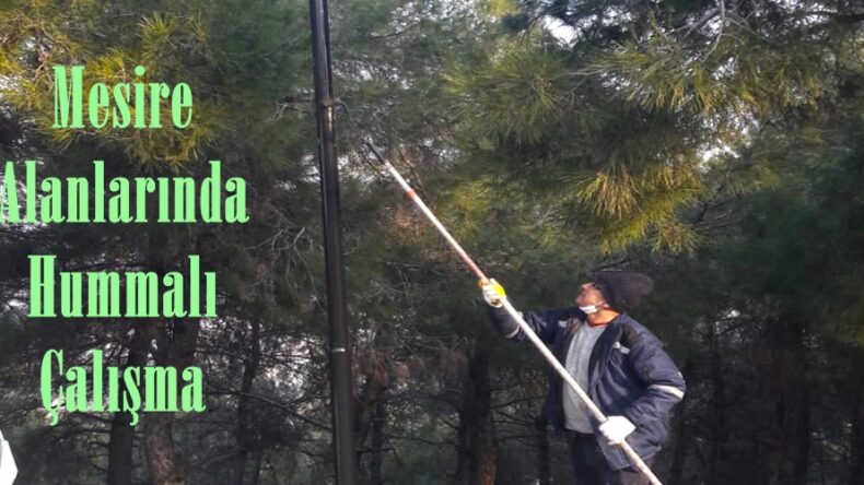 Mesire Alanlarında Hummalı Çalışma.