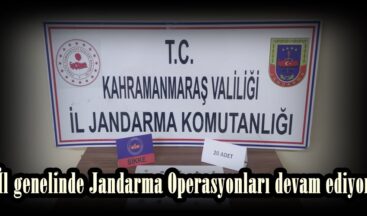 İl genelinde Jandarma Operasyonları devam ediyor.