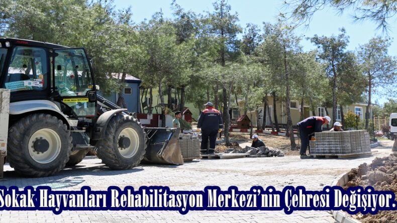 Sokak Hayvanları Rehabilitasyon Merkezi’nin Çehresi Değişiyor.