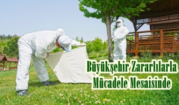 Büyükşehir Zararlılarla Mücadele Mesaisinde.