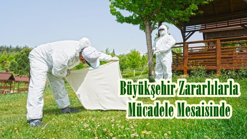 Büyükşehir Zararlılarla Mücadele Mesaisinde.