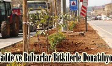 Cadde ve Bulvarlar Bitkilerle Donatılıyor.