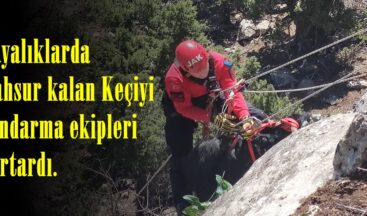 Kayalıklarda mahsur kalan Keçiyi Jandarma ekipleri kurtardı.