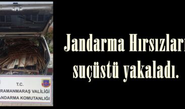 Jandarma Hırsızları suçüstü yakaladı.