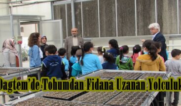 Dagtem’de Tohumdan Fidana Uzanan Yolculuk.