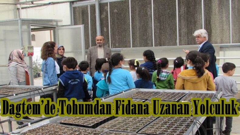 Dagtem’de Tohumdan Fidana Uzanan Yolculuk.