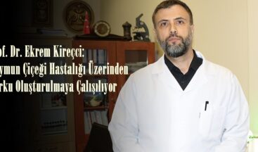 Prof. Dr. Ekrem Kireçci: Maymun Çiçeği Hastalığı Üzerinden Korku Oluşturulmaya Çalışılıyor.