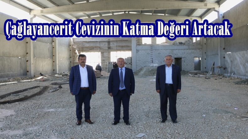 Çağlayancerit Cevizinin Katma Değeri Artacak.