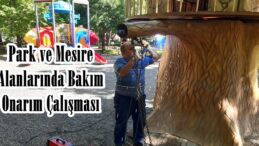 Park ve Mesire Alanlarında Bakım Onarım Çalışması.