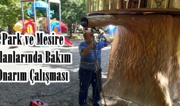 Park ve Mesire Alanlarında Bakım Onarım Çalışması.