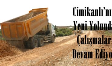 Cimikanlı’nın Yeni Yolunda Çalışmalar Devam Ediyor.