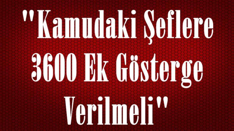 “Kamudaki Şeflere 3600 Ek Gösterge Verilmeli”