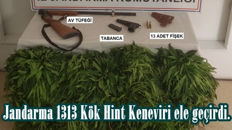 Jandarma 1313 Kök Hint Keneviri ele geçirdi.