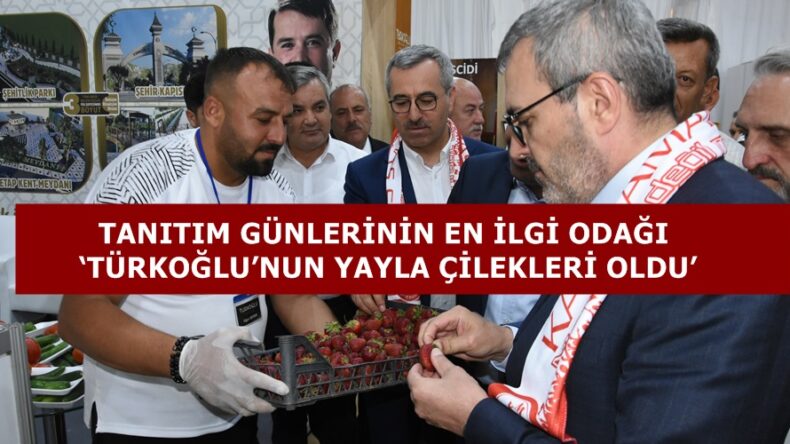 TANITIM GÜNLERİNİN EN İLGİ ODAĞI ‘TÜRKOĞLU’NUN YAYLA ÇİLEKLERİ OLDU’