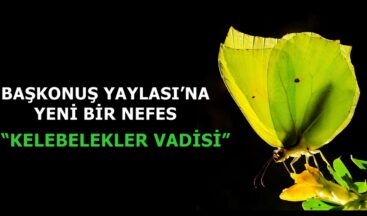 BAŞKONUŞ YAYLASI’NA YENİ BİR NEFES “KELEBELEKLER VADİSİ”.