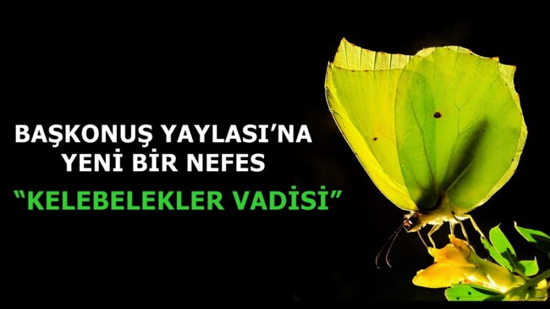BAŞKONUŞ YAYLASI’NA YENİ BİR NEFES “KELEBELEKLER VADİSİ”.