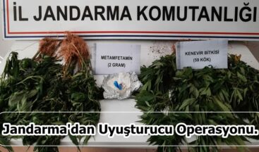 Jandarma’dan Uyuşturucu Operasyonu.