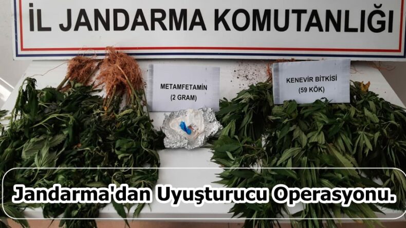 Jandarma’dan Uyuşturucu Operasyonu.