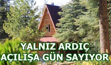 YALNIZ ARDIÇ AÇILIŞA GÜN SAYIYOR