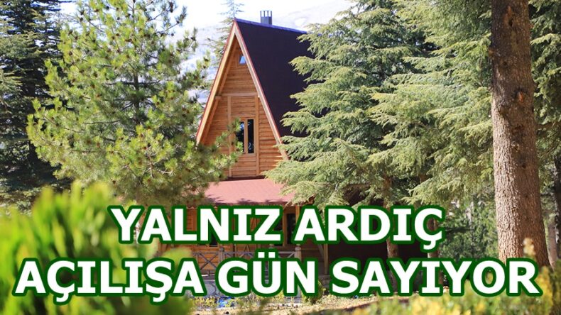 YALNIZ ARDIÇ AÇILIŞA GÜN SAYIYOR