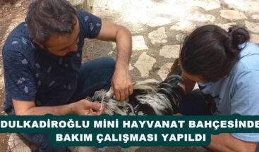 DULKADİROĞLU MİNİ HAYVANAT BAHÇESİNDE BAKIM ÇALIŞMASI YAPILDI.