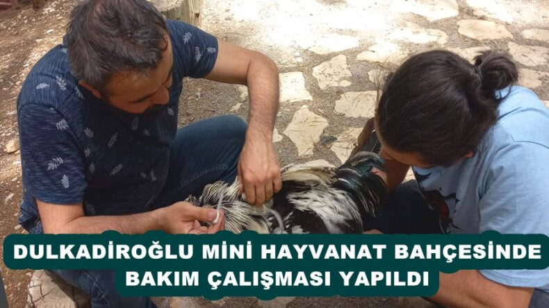 DULKADİROĞLU MİNİ HAYVANAT BAHÇESİNDE BAKIM ÇALIŞMASI YAPILDI.