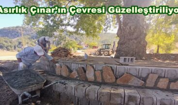 Asırlık Çınar’ın Çevresi Güzelleştiriliyor.