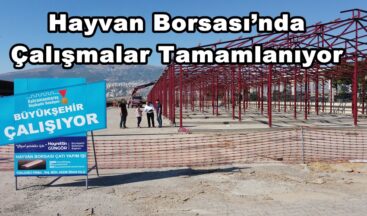Hayvan Borsası’nda Çalışmalar Tamamlanıyor.