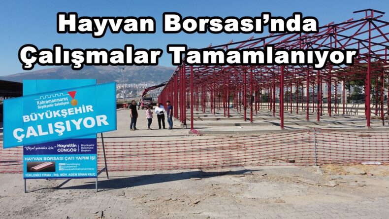 Hayvan Borsası’nda Çalışmalar Tamamlanıyor.