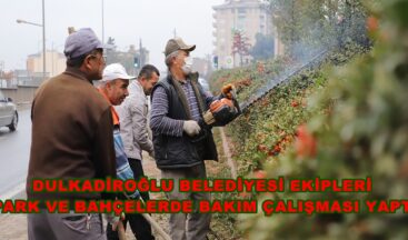 DULKADİROĞLU BELEDİYESİ EKİPLERİ  PARK VE BAHÇELERDE BAKIM ÇALIŞMASI YAPTI.