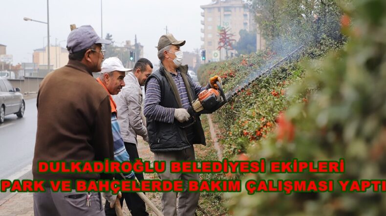 DULKADİROĞLU BELEDİYESİ EKİPLERİ  PARK VE BAHÇELERDE BAKIM ÇALIŞMASI YAPTI.