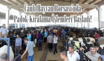 Canlı Hayvan Borsası’nda Padok Kiralama İşlemleri Başladı!