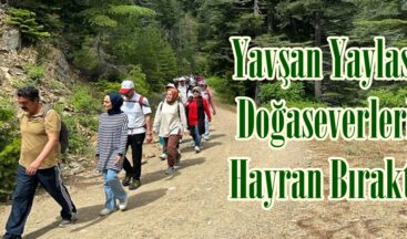 Yavşan Yaylası Doğaseverleri Hayran Bıraktı.