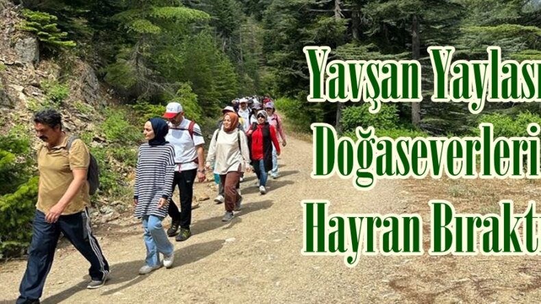 Yavşan Yaylası Doğaseverleri Hayran Bıraktı.