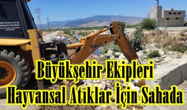 Büyükşehir Ekipleri Hayvansal Atıklar İçin Sahada.