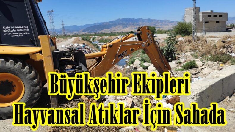 Büyükşehir Ekipleri Hayvansal Atıklar İçin Sahada.